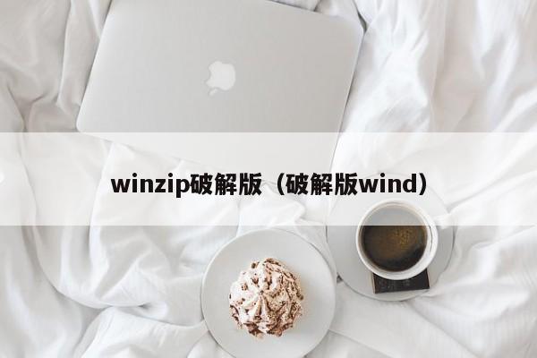 winzip破解版（破解版wind）  第1张