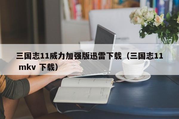 三国志11威力加强版迅雷下载（三国志11 mkv 下载）  第1张