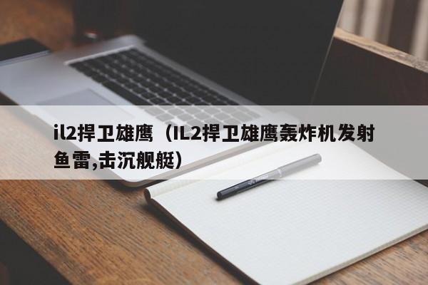 il2捍卫雄鹰（IL2捍卫雄鹰轰炸机发射鱼雷,击沉舰艇）  第1张