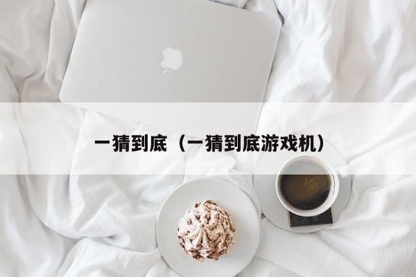 一猜到底（一猜到底机）