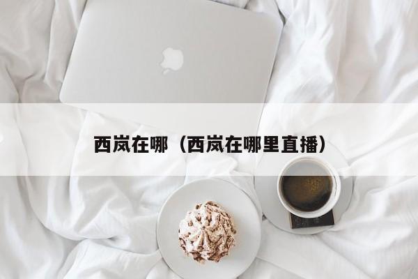 西岚在哪（西岚在哪里直播）  第1张