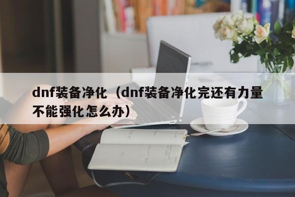 dnf装备净化（dnf装备净化完还有力量不能强化怎么办）  第1张