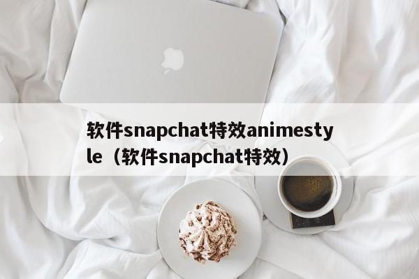 软件snap特效animestyle（软件snap特效）  第1张