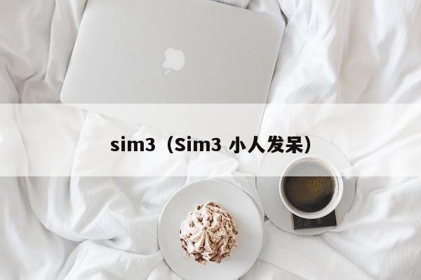 sim3（Sim3 小人发呆）  第1张