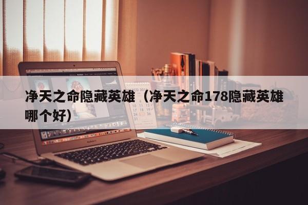 净天之命隐藏英雄（净天之命178隐藏英雄哪个好）  第1张
