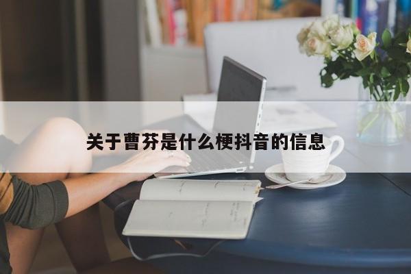 关于曹芬是什么梗抖音的信息  第1张