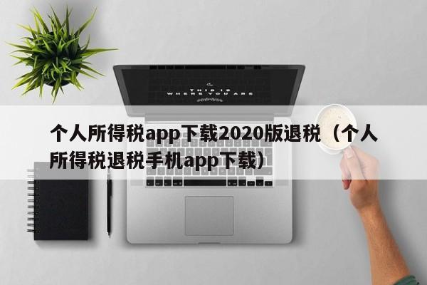 个人所得税app下载2020版退税（个人所得税退税手机app下载）  第1张