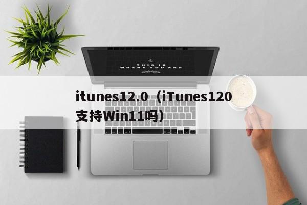 itunes12.0（iTunes120支持Win11吗）  第1张