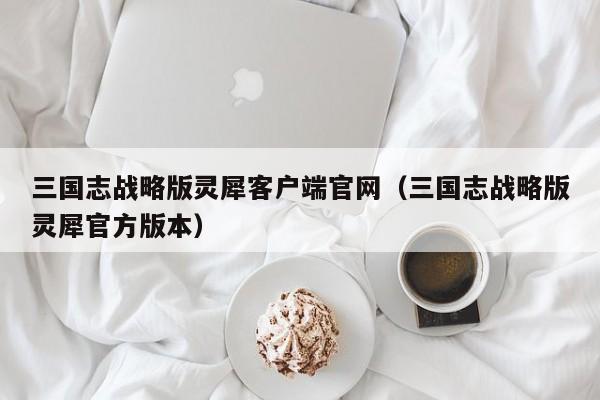 三国志战略版灵犀客户端官网（三国志战略版灵犀官方版本）  第1张