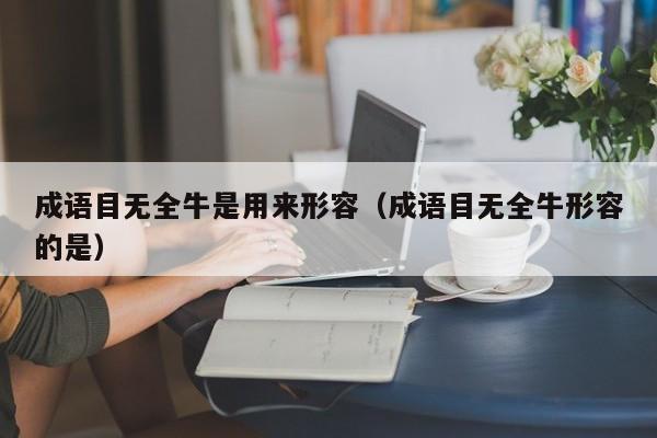 成语目无全牛是用来形容（成语目无全牛形容的是）