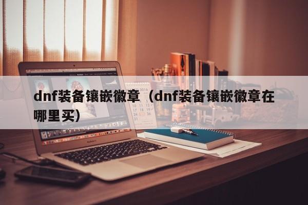 dnf装备镶嵌徽章（dnf装备镶嵌徽章在哪里买）