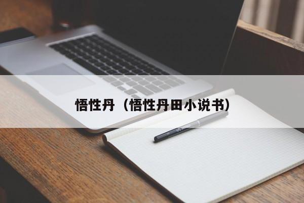 悟性丹（悟性丹田小说书）