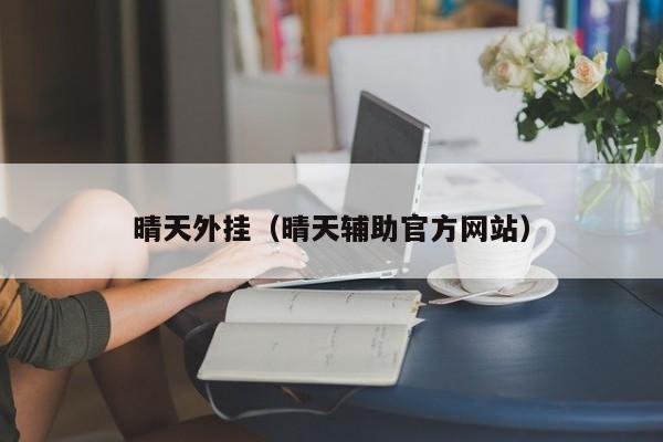 晴天外挂（晴天辅助官方）  第1张