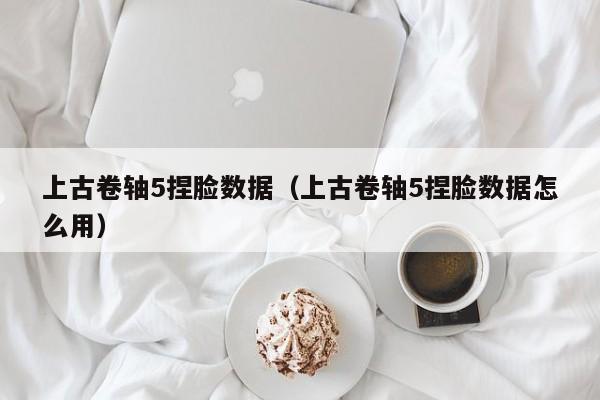 上古卷轴5捏脸数据（上古卷轴5捏脸数据怎么用）