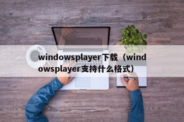windowsplayer下载（windowsplayer支持什么格式）