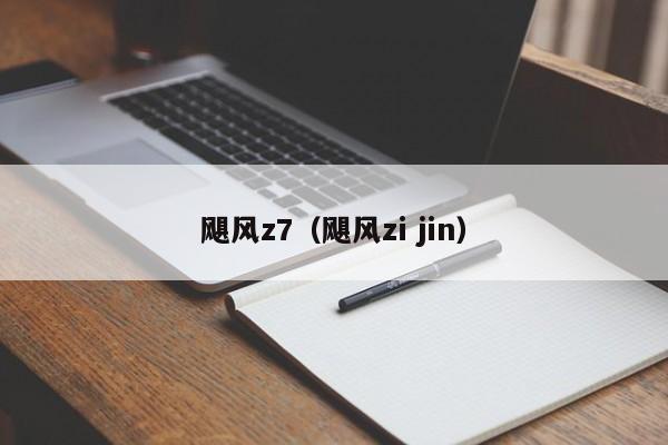 飓风z7（飓风zi jin）