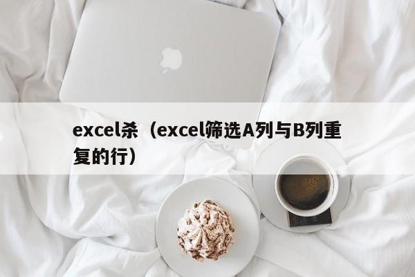 excel杀（excel筛选A列与B列重复的行）