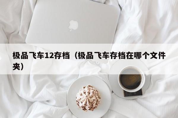 极品飞车12存档（极品飞车存档在哪个文件夹）