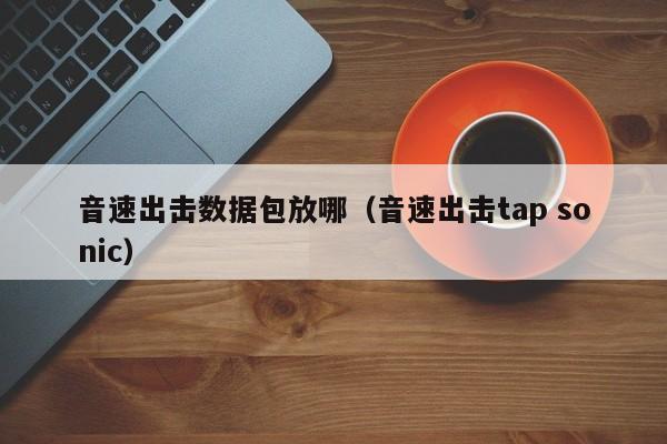 音速出击数据包放哪（音速出击tap sonic）