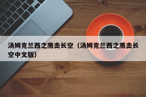 汤姆克兰西之鹰击长空（汤姆克兰西之鹰击长空中文版）