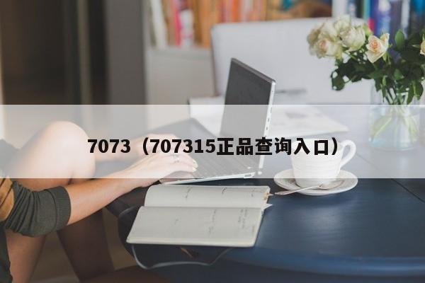 7073（707315正品查询入口）