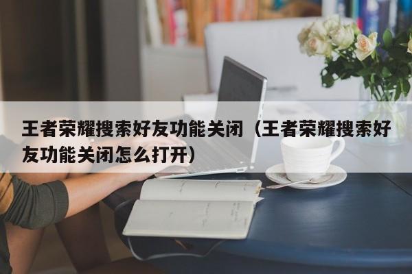 王者荣耀搜索好友功能关闭（王者荣耀搜索好友功能关闭怎么打开）