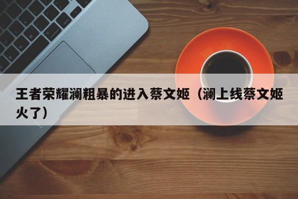 王者荣耀澜粗暴的进入蔡文姬（澜上线蔡文姬火了）
