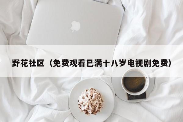 野花社区（免费观看已满十八岁电视剧免费）