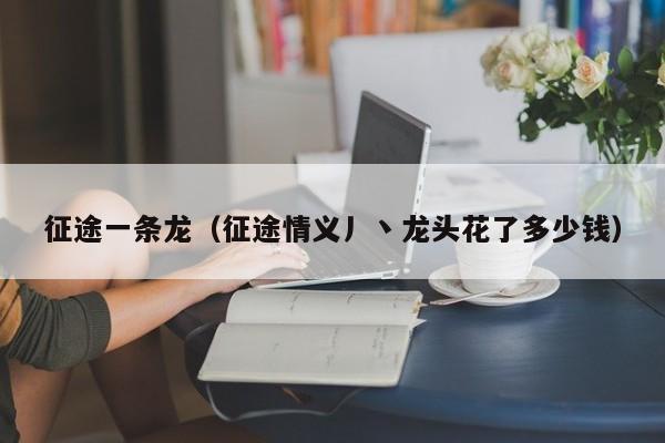 征途一条龙（征途情义丿丶龙头花了多少钱）