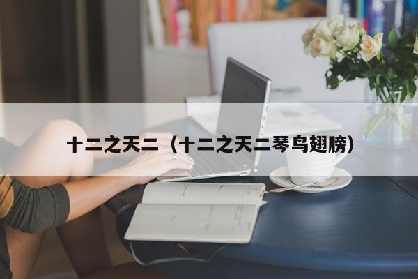 十二之天二（十二之天二琴鸟翅膀）