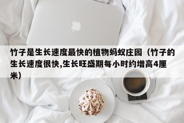 竹子是生长速度最快的植物蚂蚁庄园（竹子的生长速度很快,生长旺盛期每小时约增高4厘米）  第1张