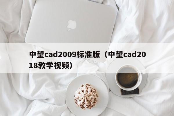 中望cad2009标准版（中望cad2018教学视频）
