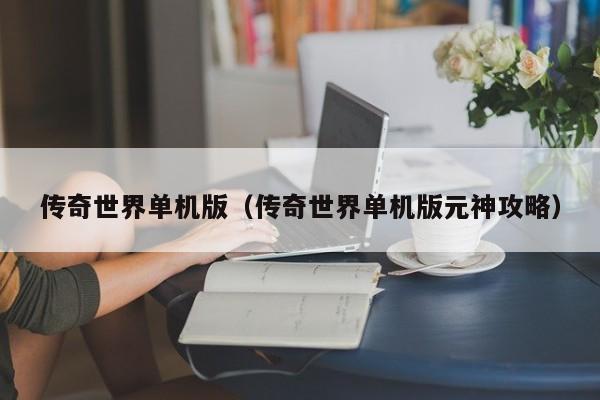 传奇世界单机版（传奇世界单机版元神攻略）