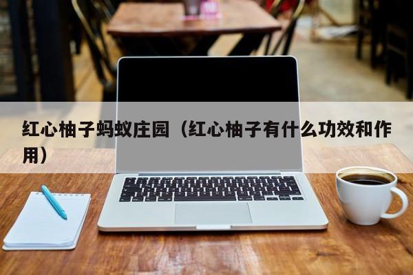红心柚子蚂蚁庄园（红心柚子有什么功效和作用）