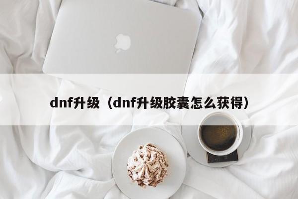 dnf升级（dnf升级胶囊怎么获得）