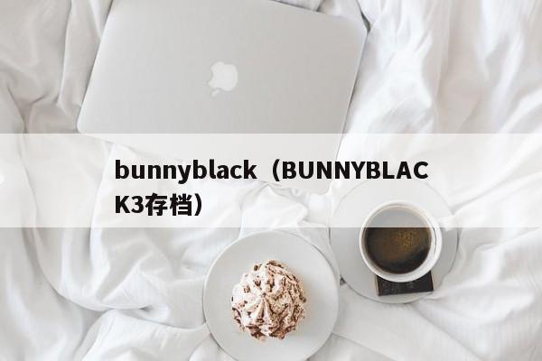bunny（BUNNYBLACK3存档）